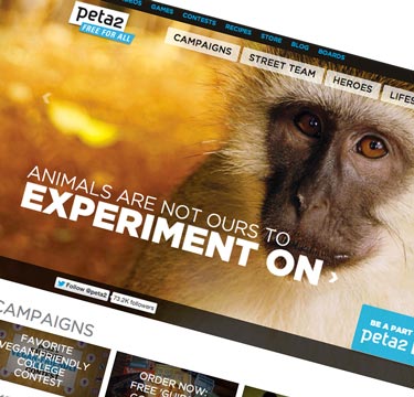 peta2 websites